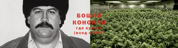 ECSTASY Горно-Алтайск