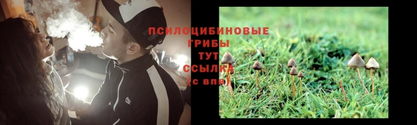 наркотики Горняк