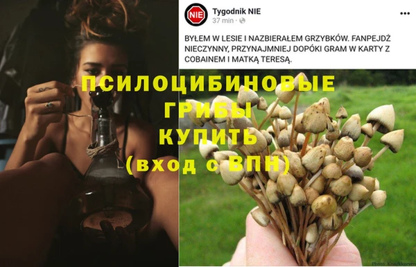 ECSTASY Горно-Алтайск