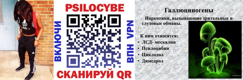 нарко площадка официальный сайт  Дербент  Псилоцибиновые грибы Magic Shrooms 