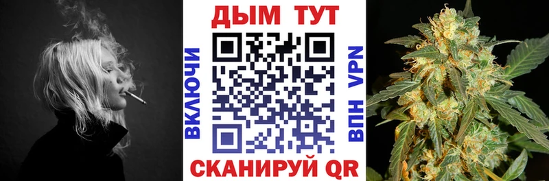 Бошки Шишки VHQ Дербент